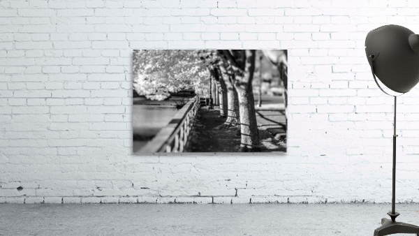 Monochrome Serenity: Exploring Yorks Riverside Beauty Wall Preview