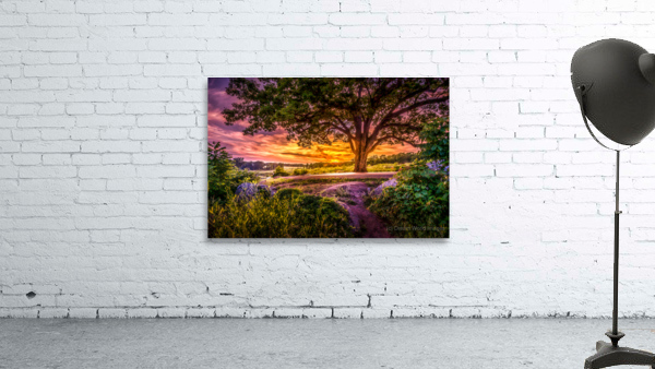 Fairytale Sunset Wall Preview