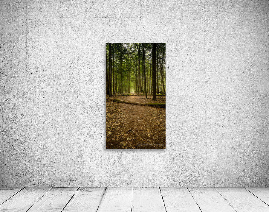 Path in the woods Wall Preview
