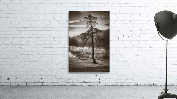 Odd Pair Sepia Wall Preview