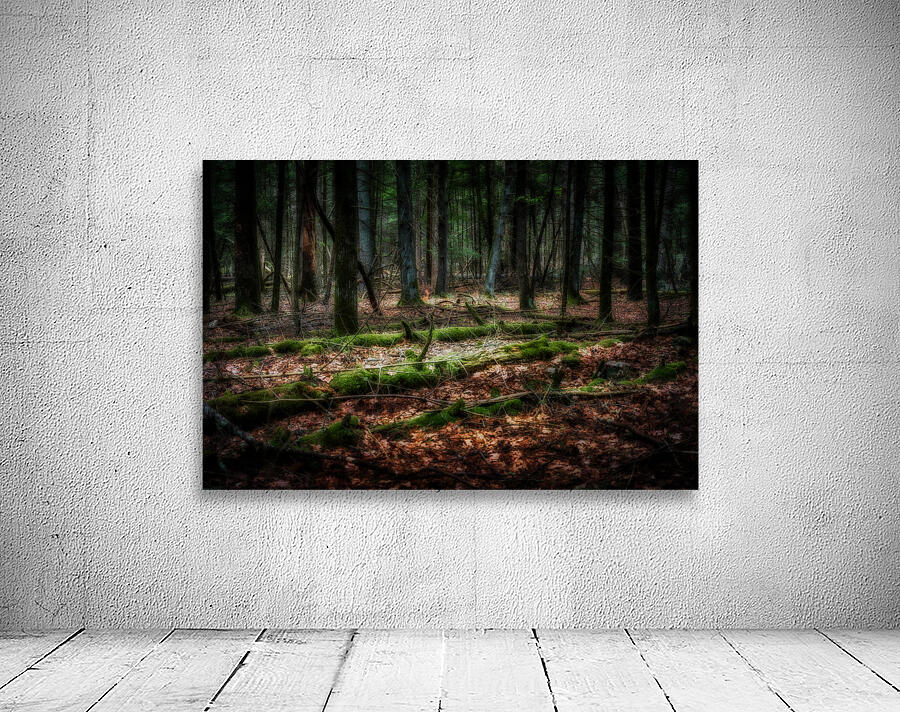 Forest Floor Secrets Wall Preview