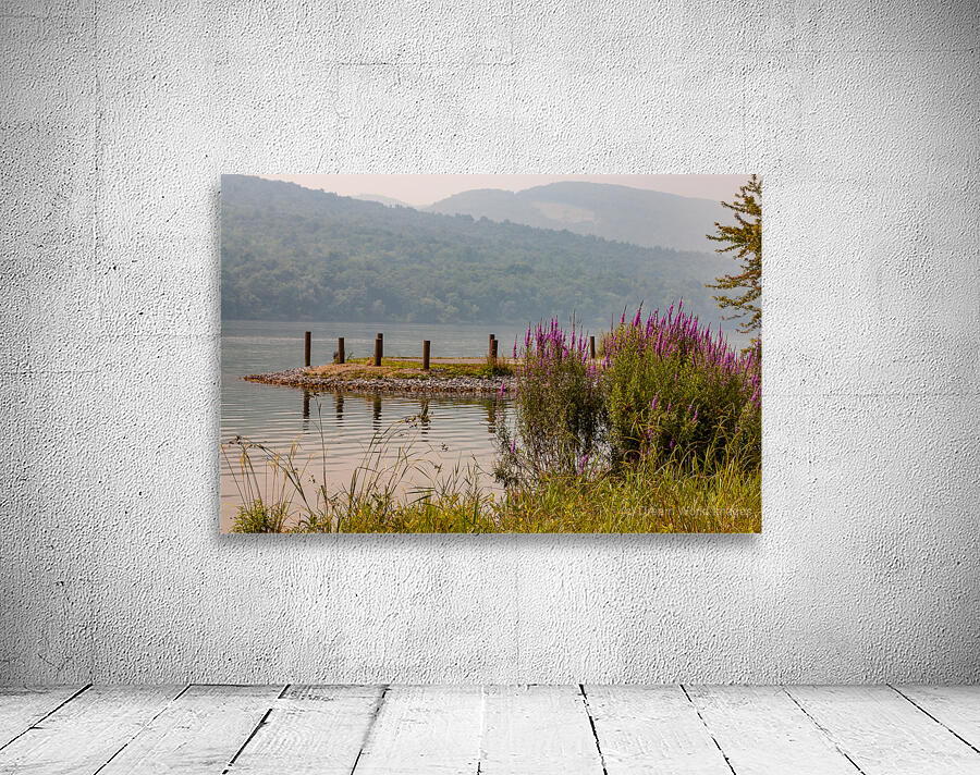 Lakeside Violet Wall Preview