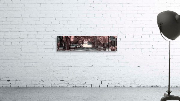 City in Bloom: Yorks Stroll Through Infrared Hues - Pano Wall Preview