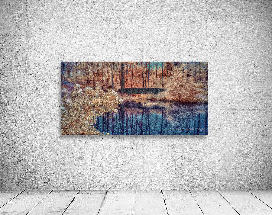 Colorful Reflecting Pond Wall Preview