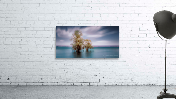 Big Brother Wall Preview