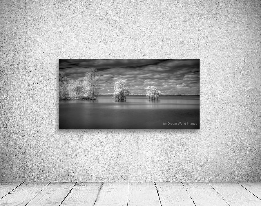 Tranquil Cypress Dreams: Santee State Park Wall Preview