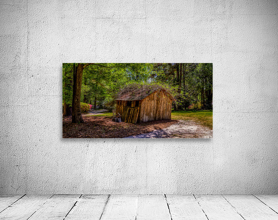 Whispers of Time: An Colorful Enchanted Shack at Swan Lake & Iris Garden Wall Preview