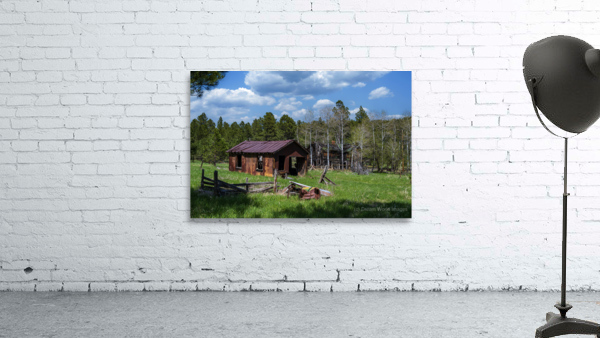 Forgotten Frontier: Ghost Town Garage Wall Preview