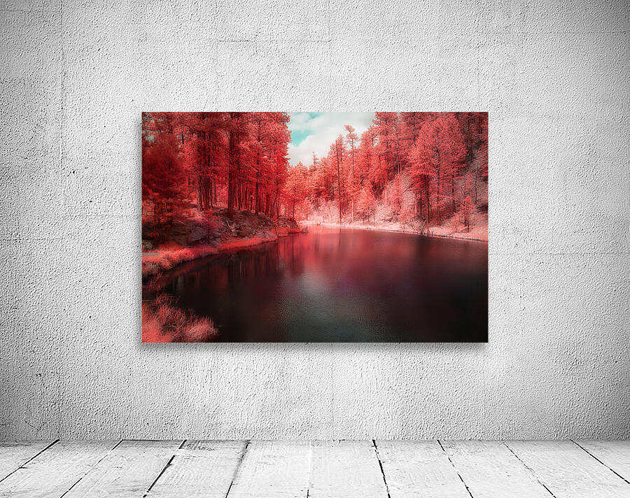 Radiant Tranquility: A Stroll Along Grace Coolidge Lakes Infrared Wonderland in South Dakota Wall Preview