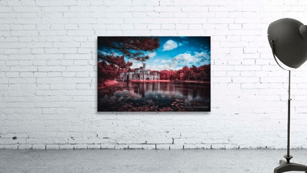  Newmans Castle: A Texan Tale in Infrared Bloom Wall Preview