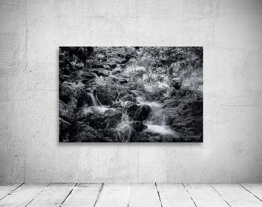 Bismarcks Silver Dance Wall Preview