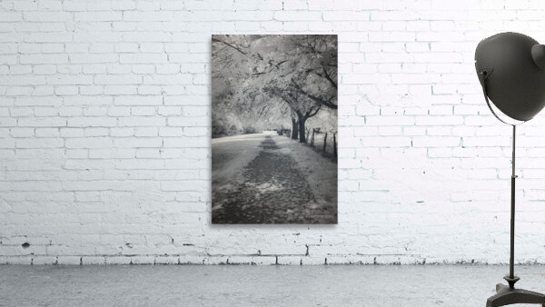 Farm Path - 3 Wall Preview