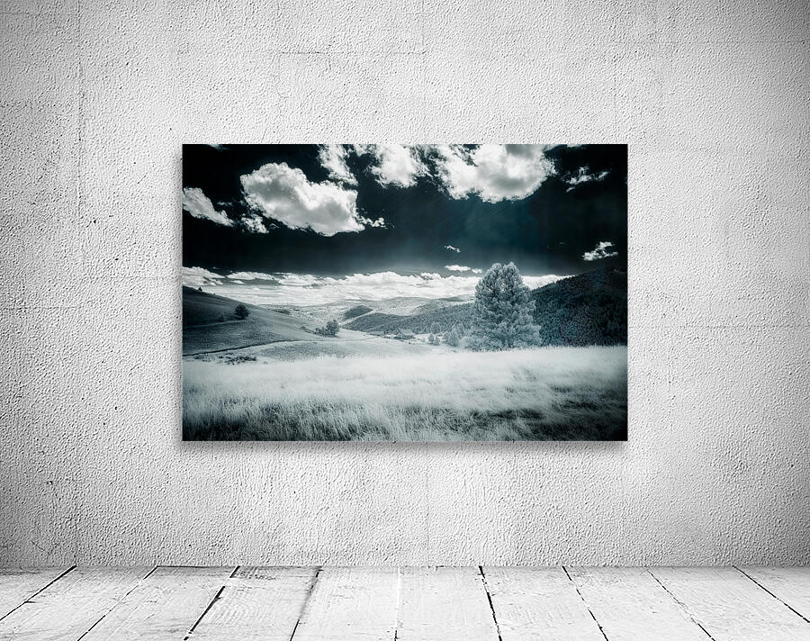 Dreamlike Horizon: Marysville Montana Wall Preview