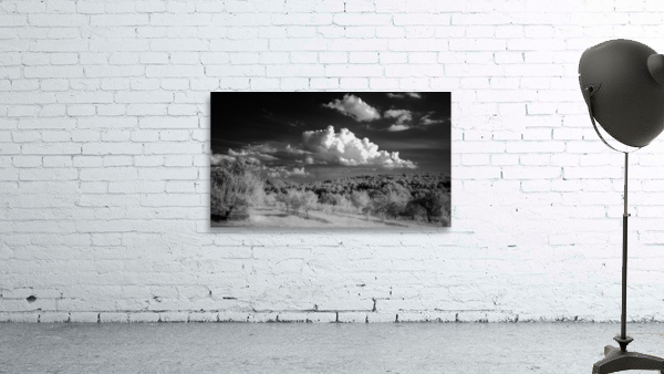 Virginia Storm Wall Preview