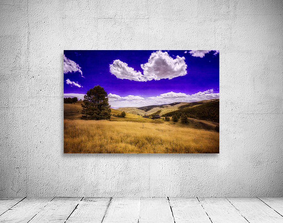 Dreamlike Horizon: Prairies Royal Symphony Wall Preview