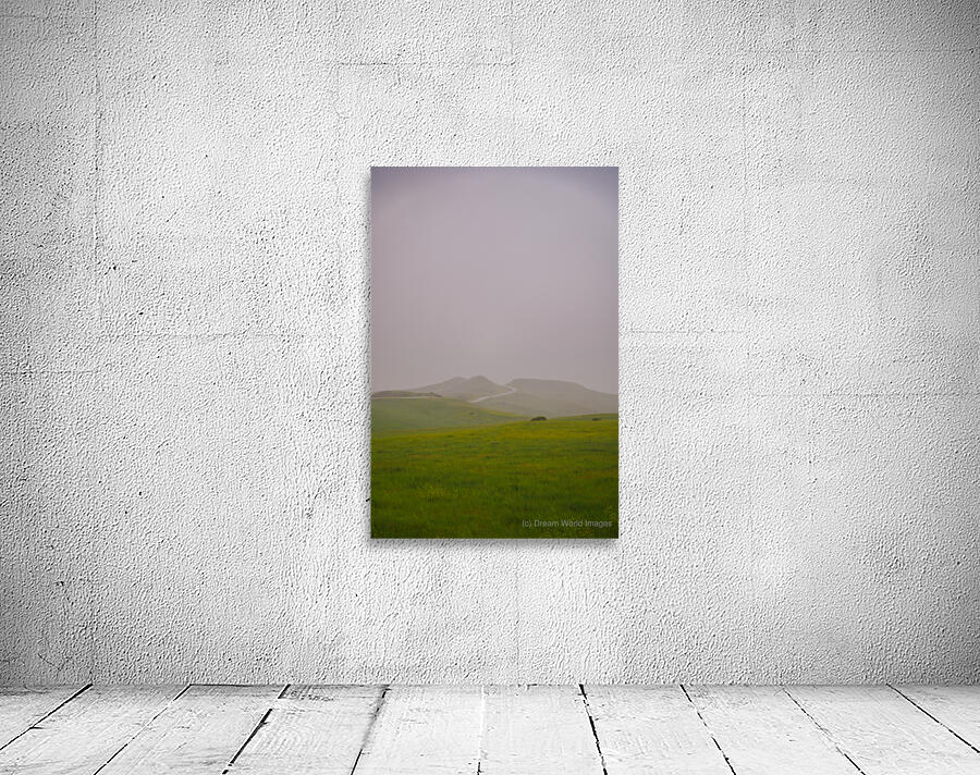 Eternal Echoes Wall Preview