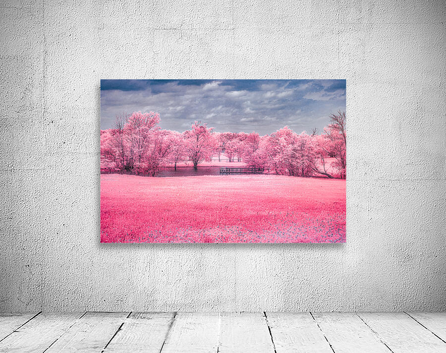 Exploring Texas: A Cotton Candy Roadside Pond Wall Preview