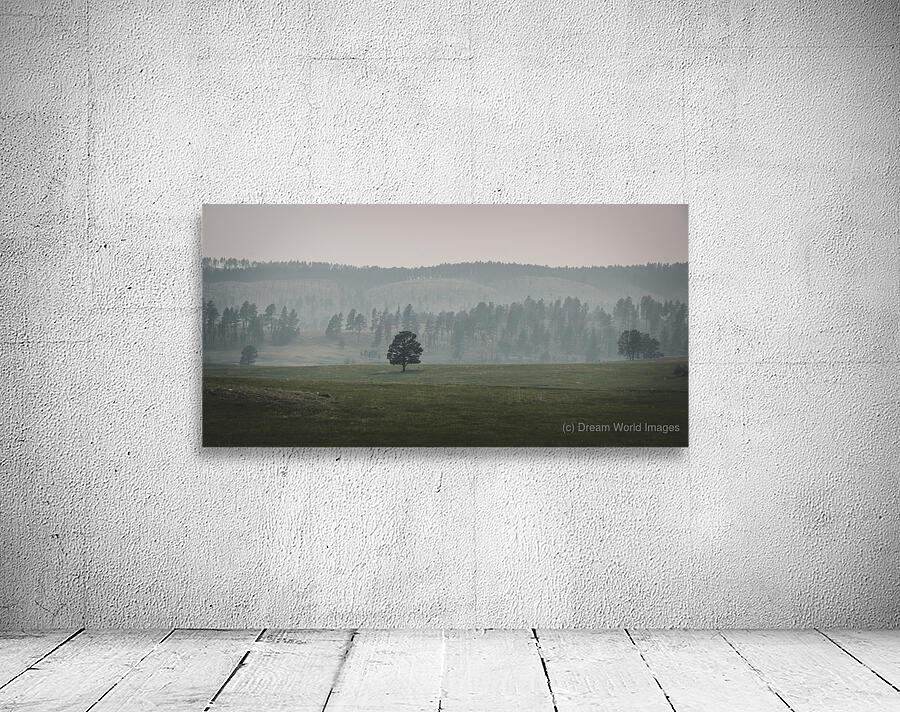 Solitudes Symphony: A Journey Through Custers Wildlife Loop Wall Preview