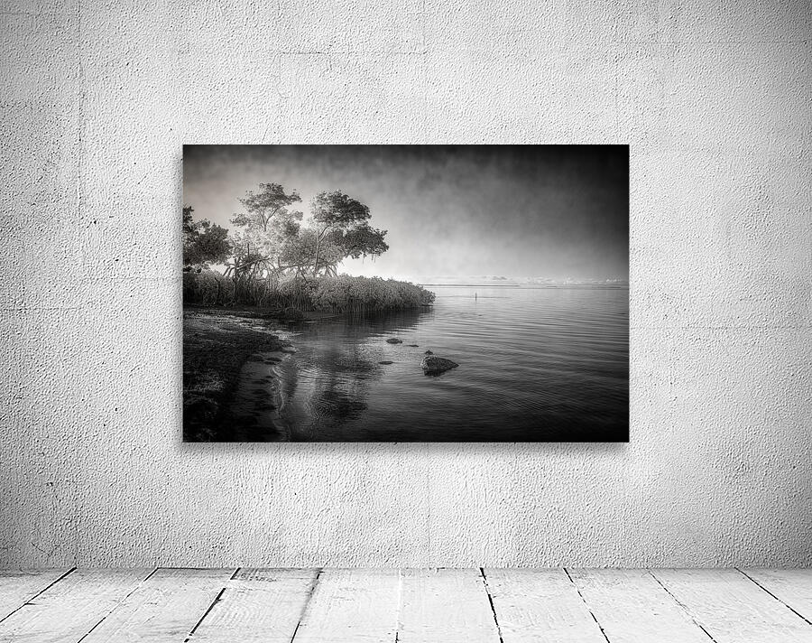 Tranquil Tides Wall Preview