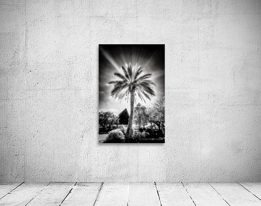 Lighted Palm Wall Preview