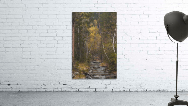 Golden Tranquility: Navigating Grace Coolidge Creek Wall Preview