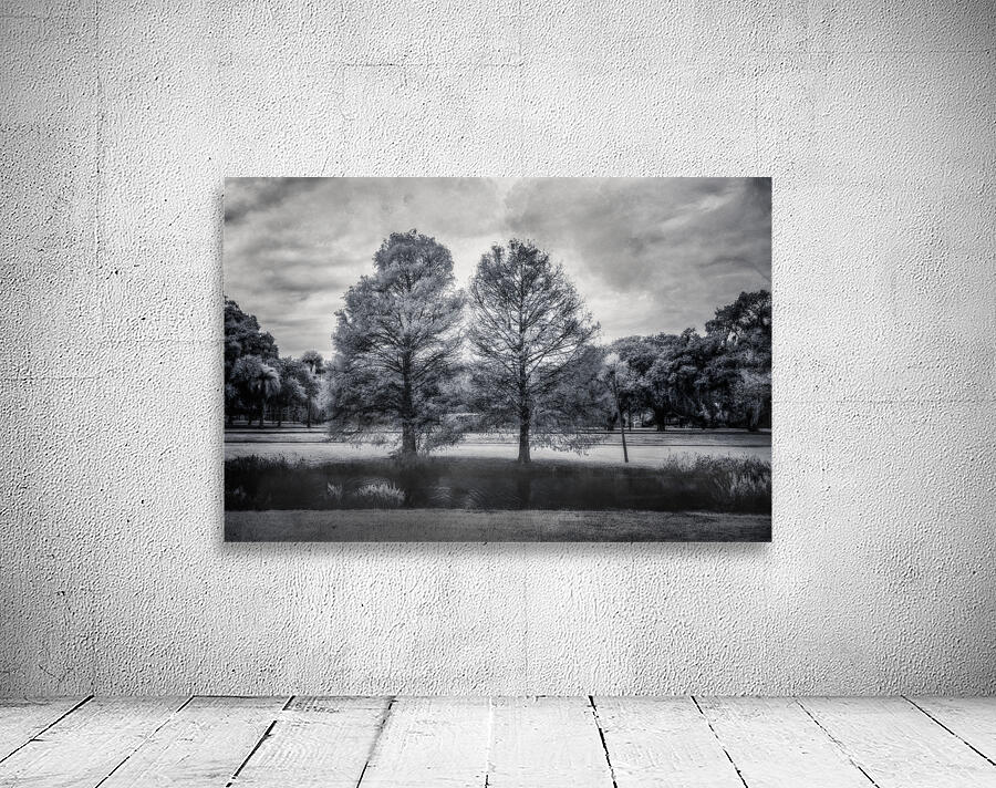 Mystical Twins: Unveiling the Beauty of Venetian Gardens in Leesburg Wall Preview