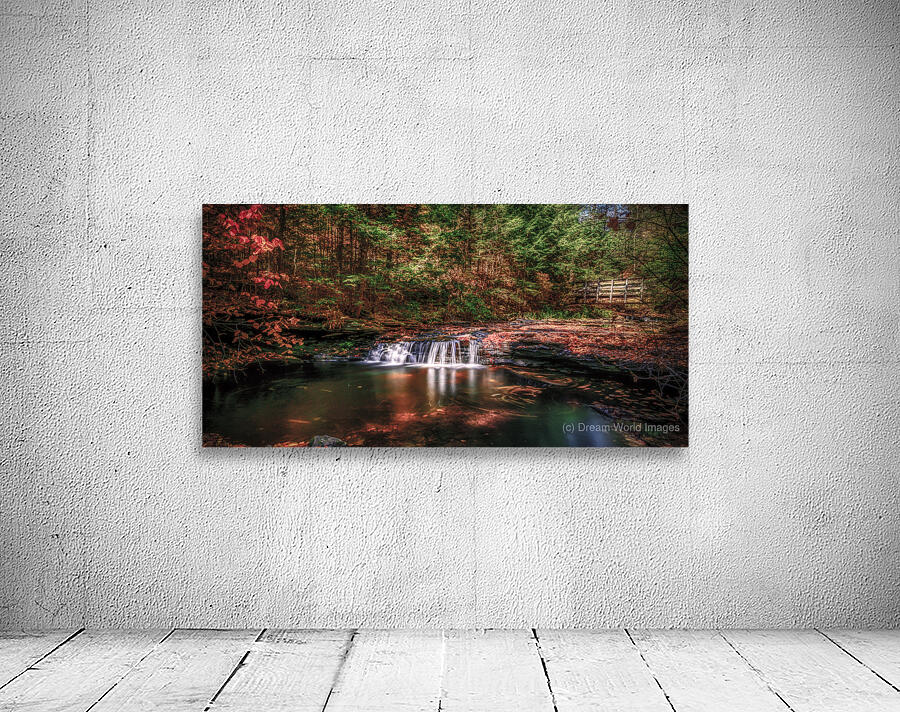 Autumn Symphony: A Serene Day at Ricketts Glen State Park Wall Preview