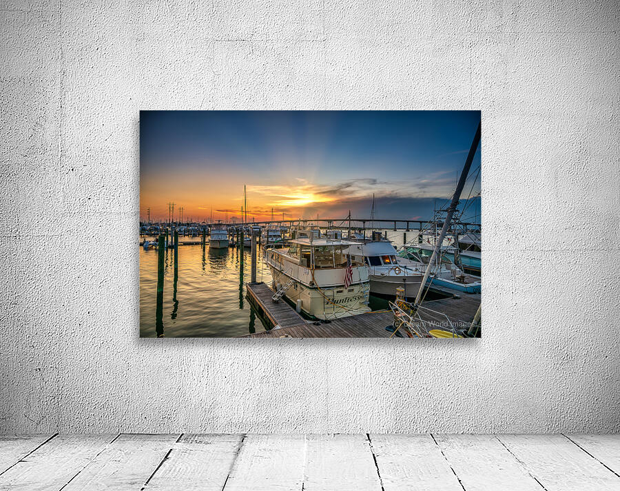 Aquatic Amour: Our Beaufort Love Story Unveiled Wall Preview