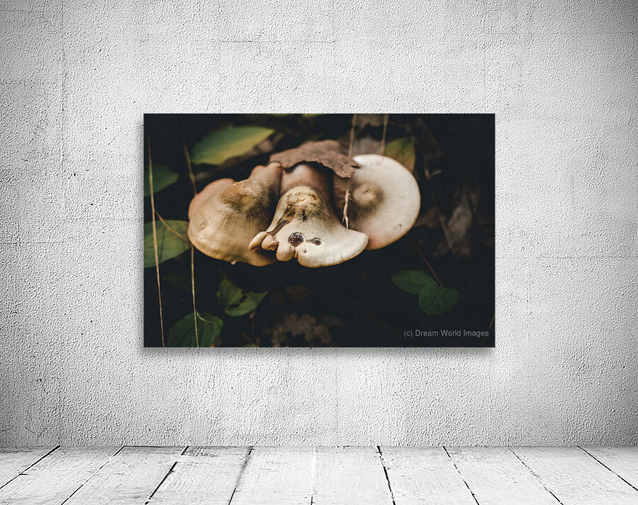 Mystical Fungi: Pound Puppy Shroom in the Magical Woods Wall Preview