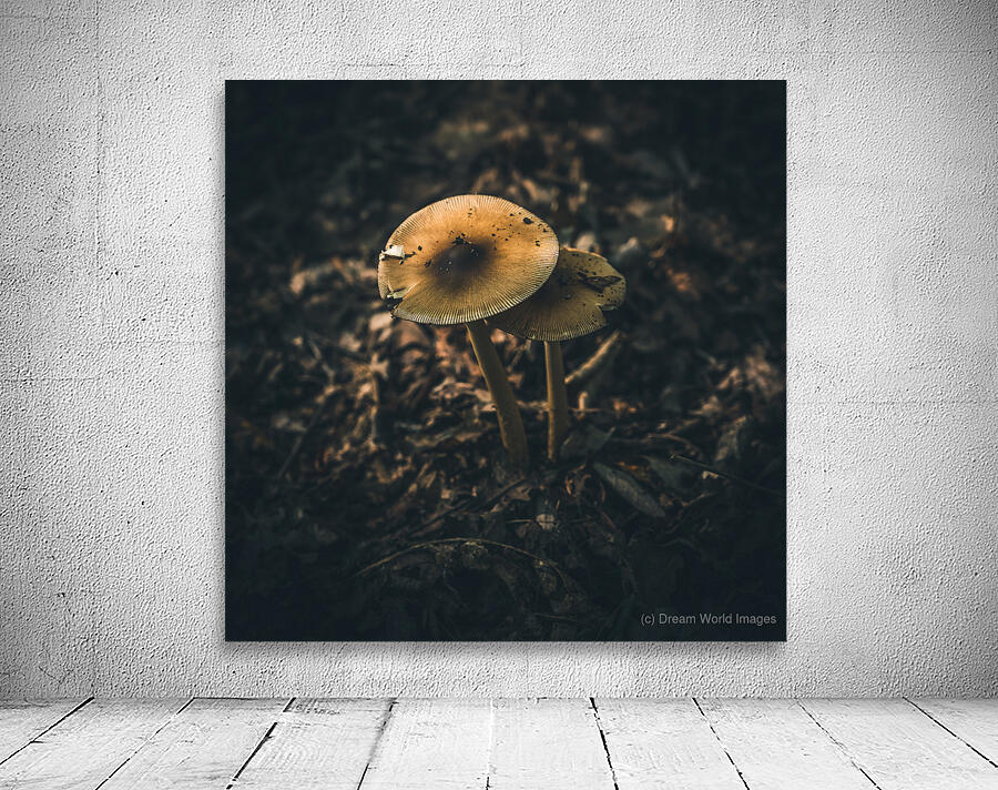 Mystical Fungi: Guardian Shroom by the Forest Path Wall Preview