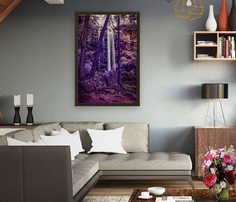 Violet Dream Reproduction