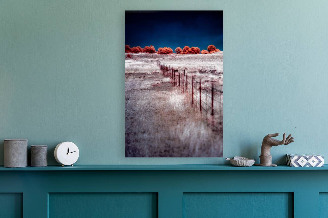 Fence Through a Surreal Horizon Reproduction