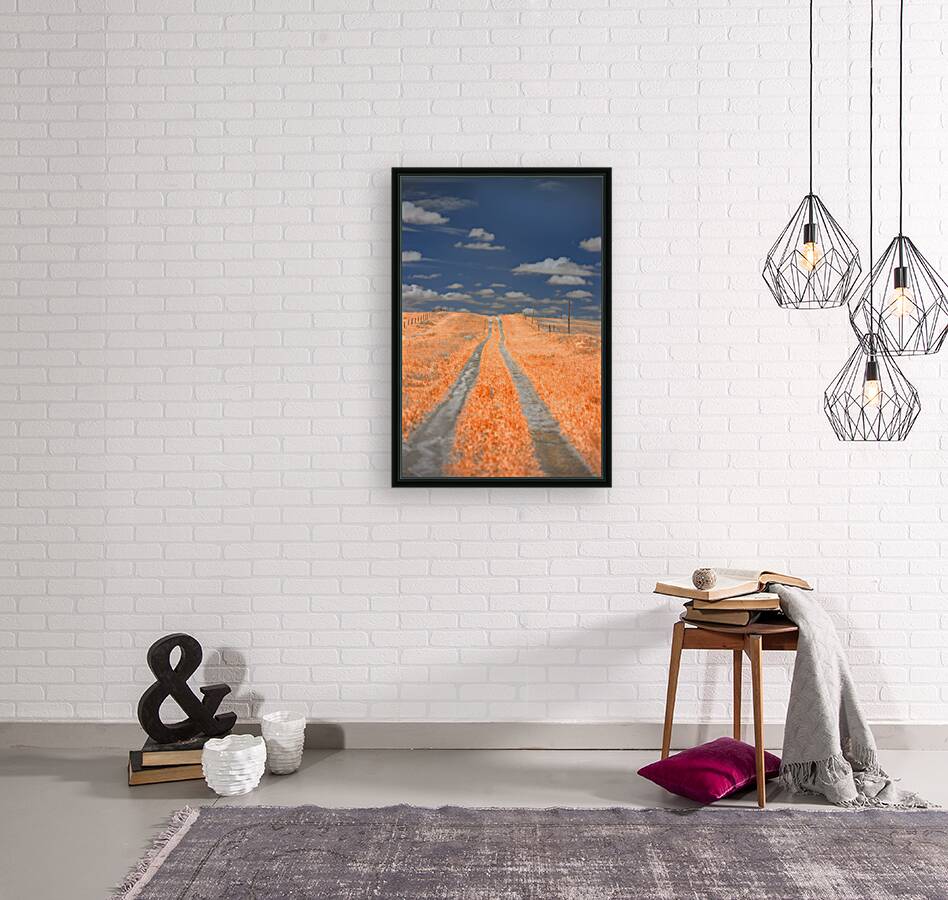 Nebraska Red Farmlane Reproduction