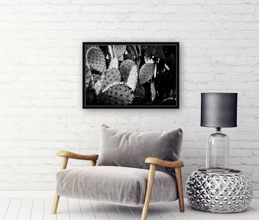 extures of the Desert Reproduction