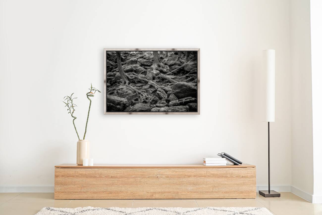 Forest Floor Labyrinth Reproduction