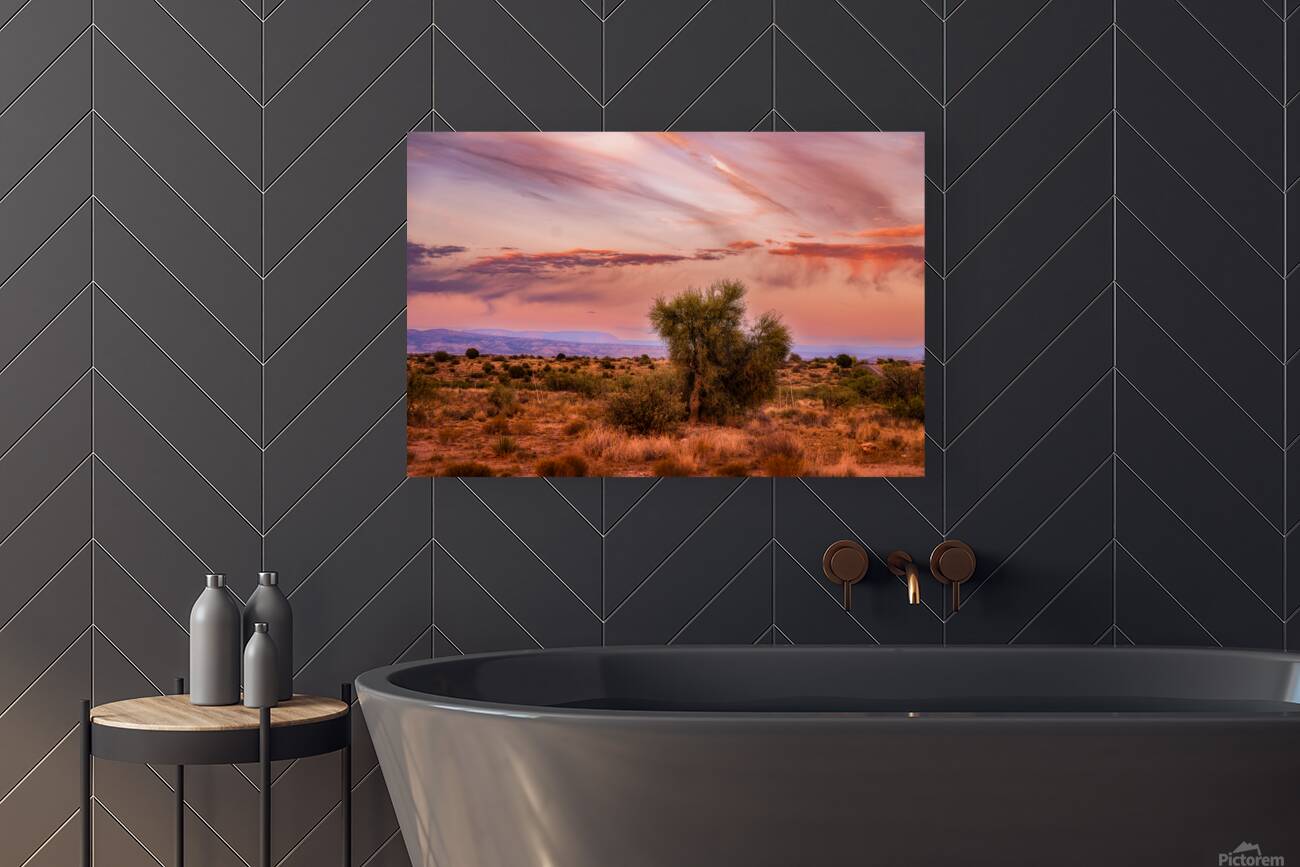 Whispers Through The Sunlit Canopy Reproduction