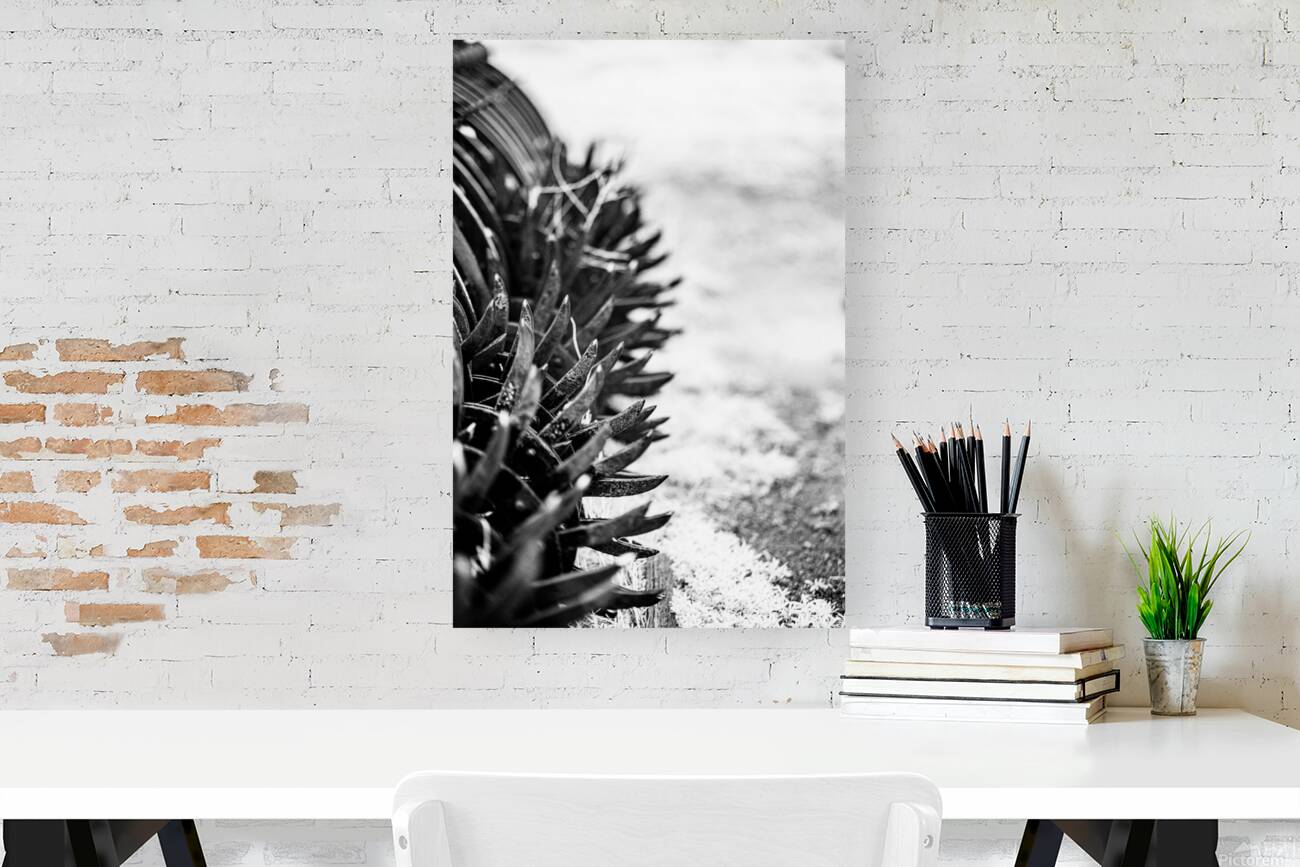 Rustic Relic   Nebraska Death Wheel Reproduction