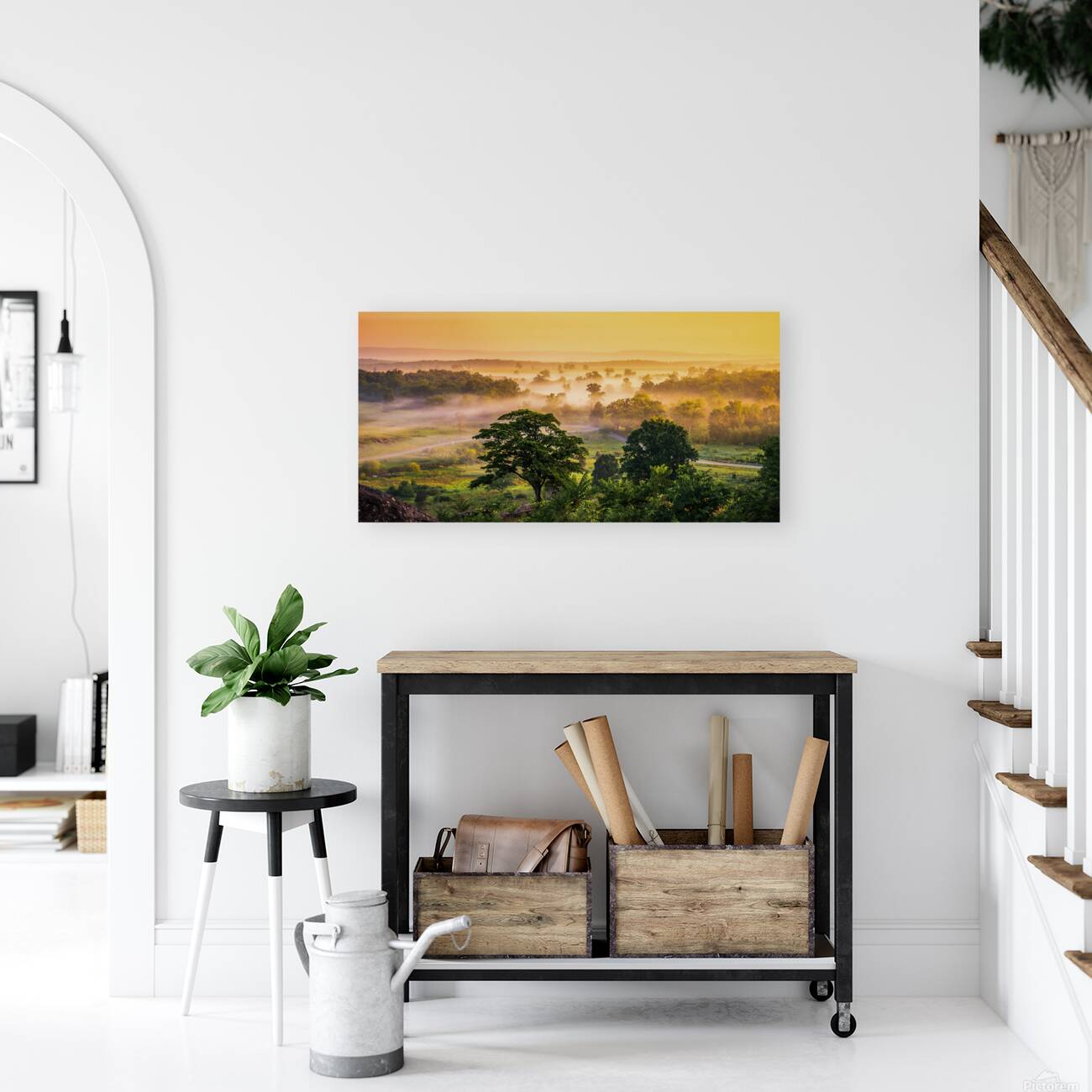 Foggy Bottom Reproduction