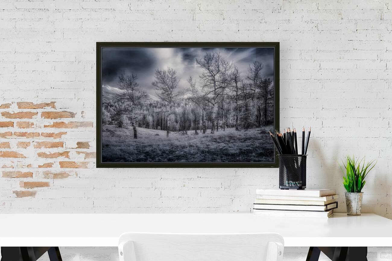 Mueller Aspen Series: Grove of Tranquility Reproduction