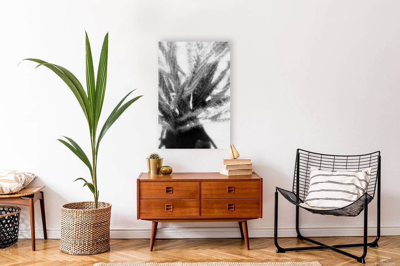 Prickly Dance on a Blurred Canvas Reproduction