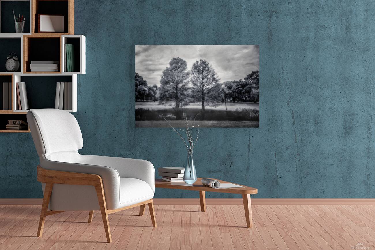 Mystical Twins: Unveiling the Beauty of Venetian Gardens in Lees Reproduction