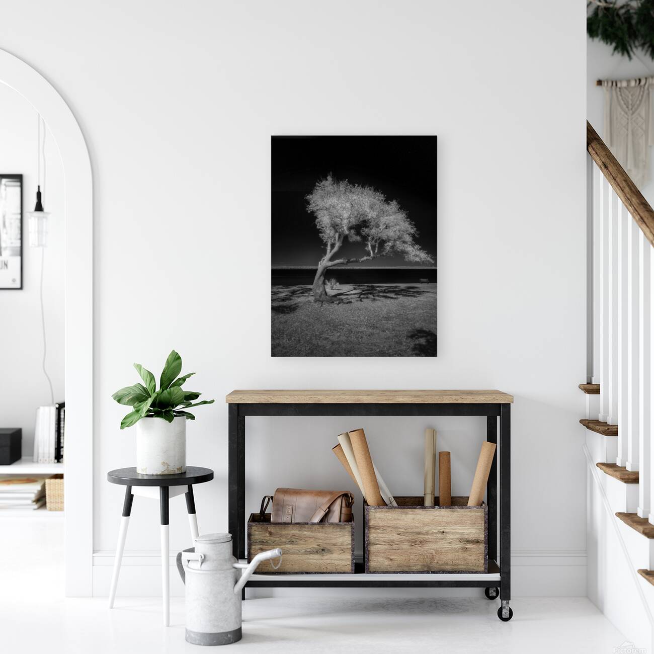 Solitude Unveiled: A Dogs Day Out in Gulf Shores Alabama Reproduction