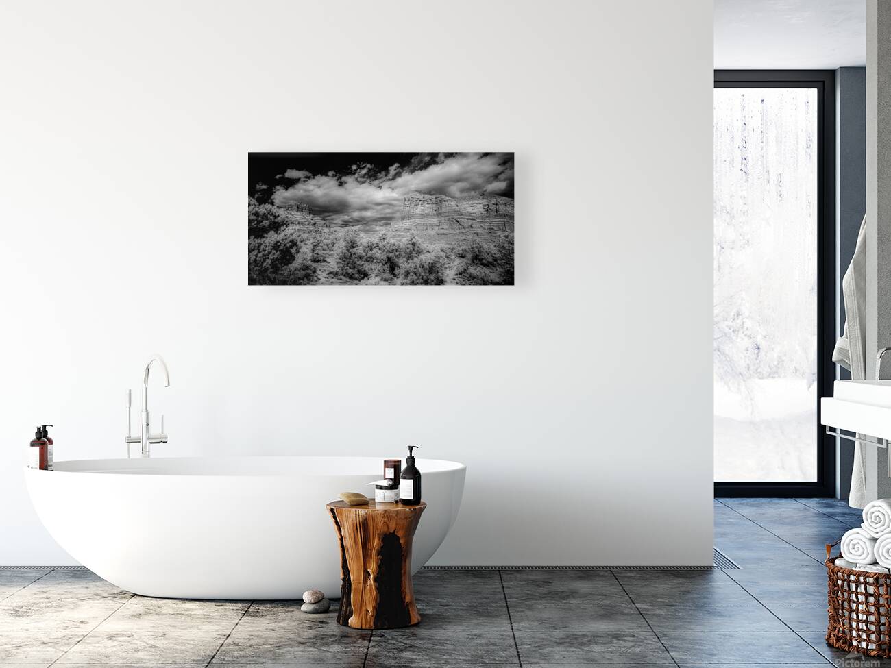 Desert Majesties in Monochrome Reproduction