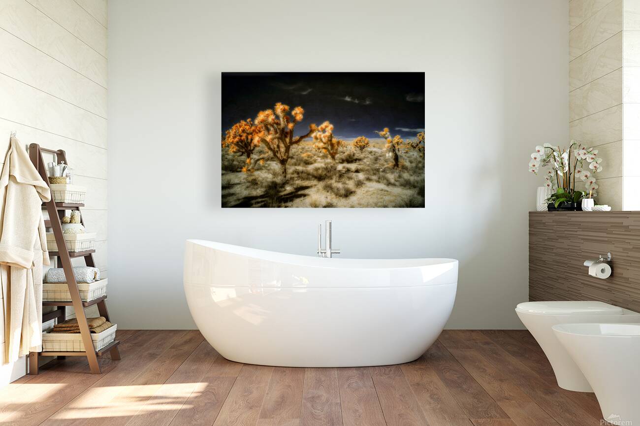 Joshuas Celestial Canopy Reproduction