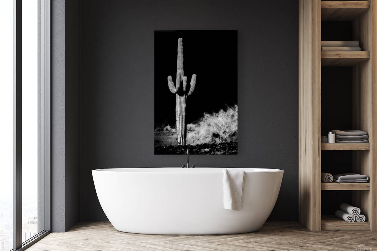 Vertical Echoes in a Desert Canvas Reproduction