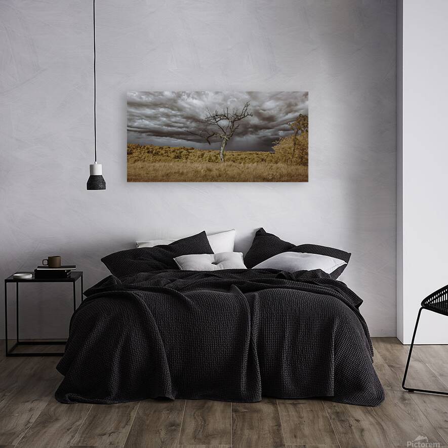 Rooted in the Tempest Reproduction