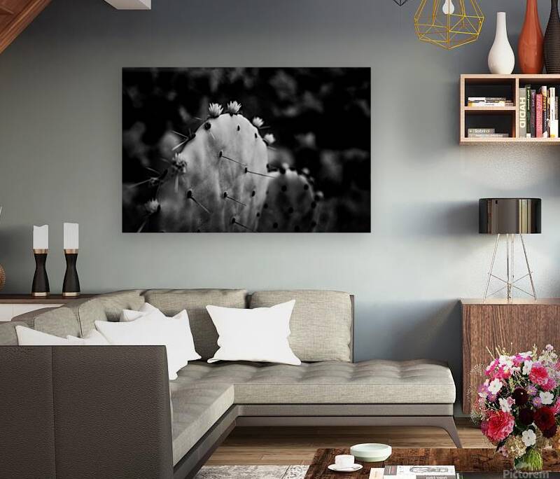 Ink and Thorn: Capturing the Essence of Texas Cacti in Monochrom Reproduction
