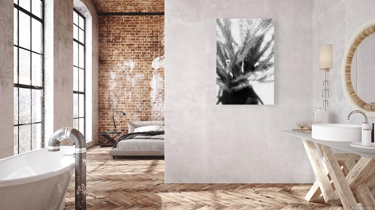 Prickly Dance on a Blurred Canvas Reproduction