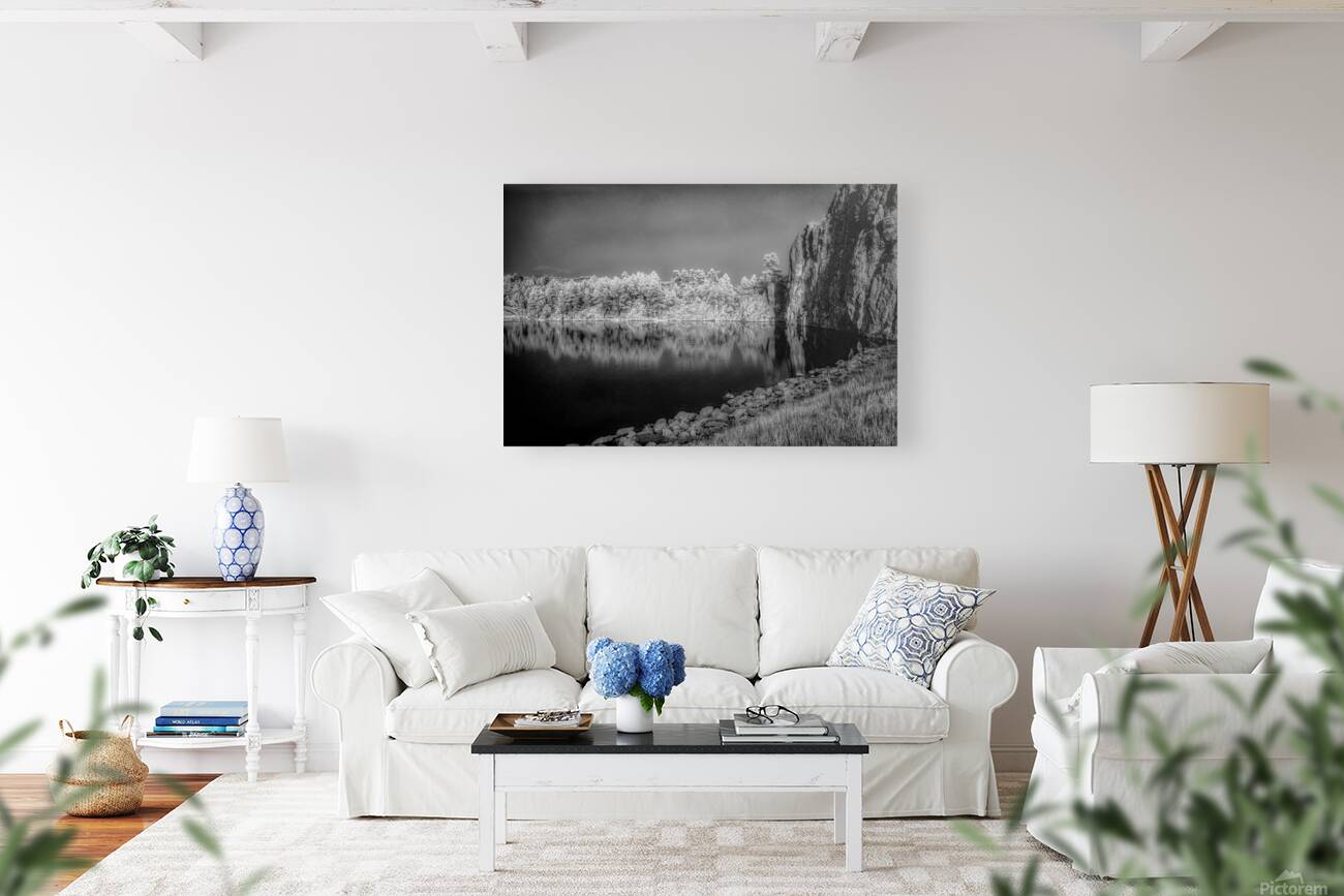 Legion Reflections Reproduction