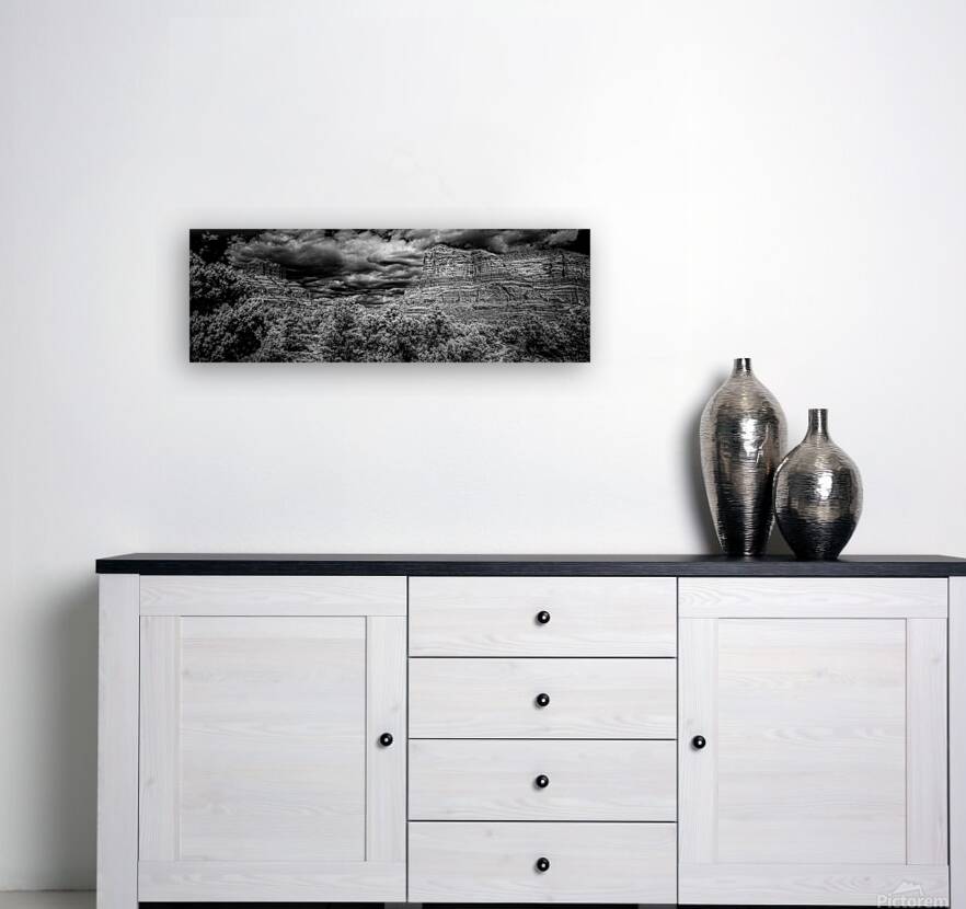 Desert Majesties in Monochrome Reproduction